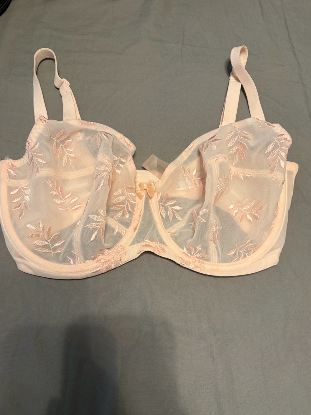 Sheer Embroidered Underwire Bra in Blush